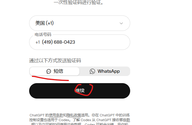 美国区号已选 +1：号码不重复加 1，选择短信并点击继续，原始截图
